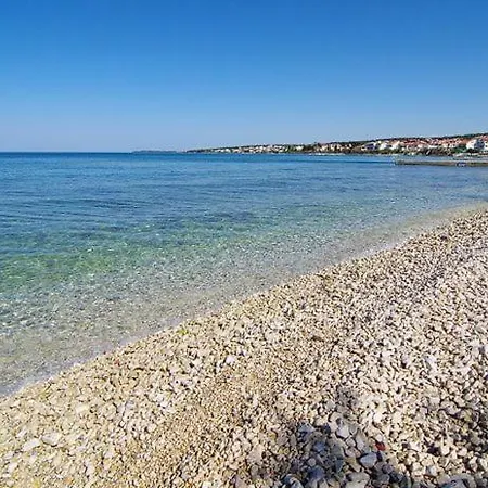 Leona * Zadar